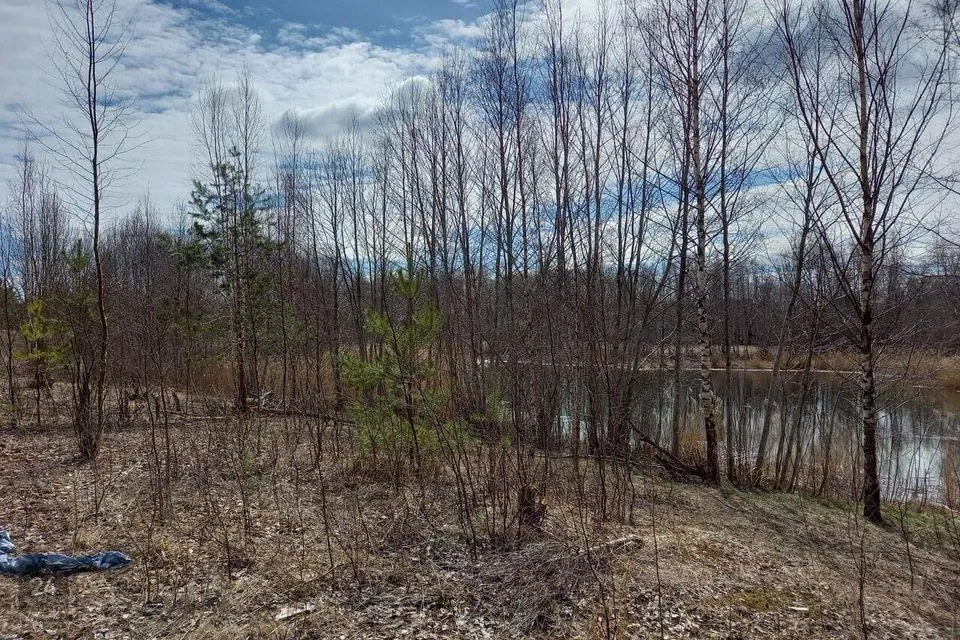 Sotsiaalmaa - üldkasutatav maa või Veekogude maa, 73800 m² Maa - Elva vald, Teilma küla - foto 4