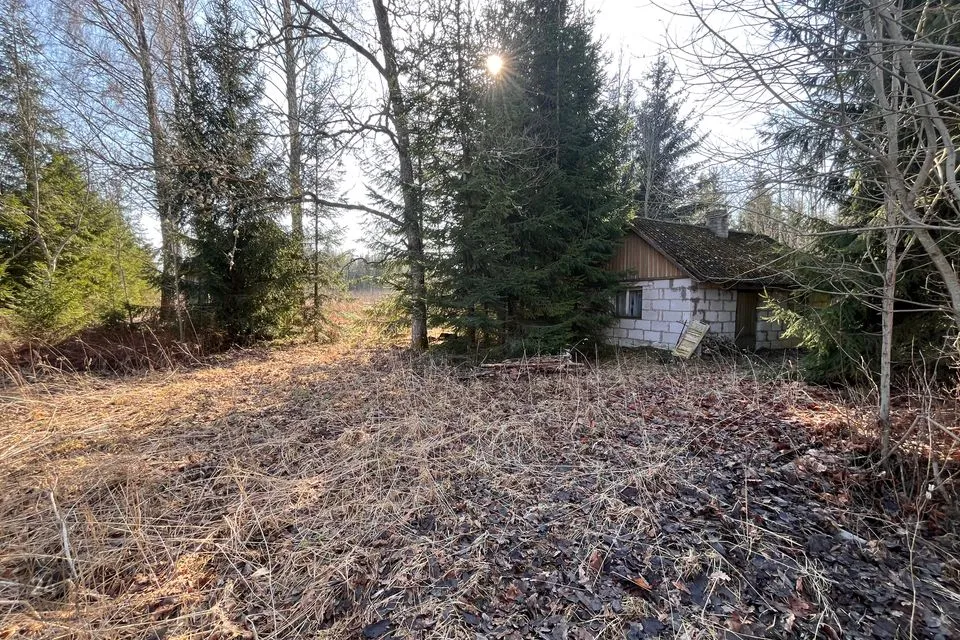 Residential land, 20026 m² land in Kastre vald, Kaarlimõisa küla - photo 5