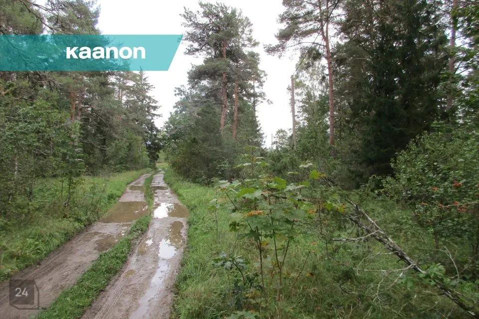 23498 m² Maa - Lääne-Harju vald, Lehola küla