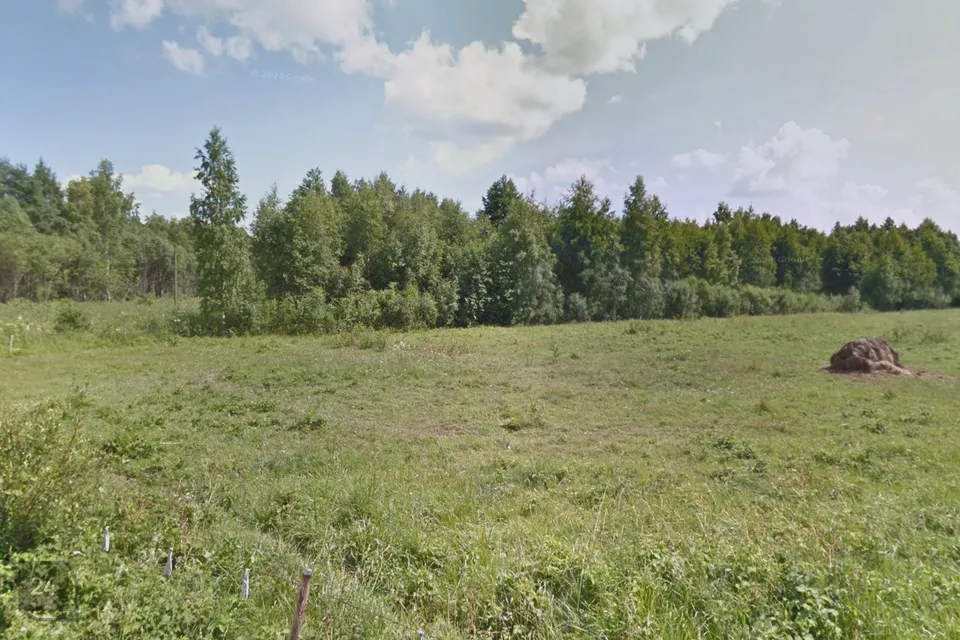 Maatulundusmaa, 13874 m² Maa  -  Lääne-Nigula vald, Einbi küla / Enby - foto 3