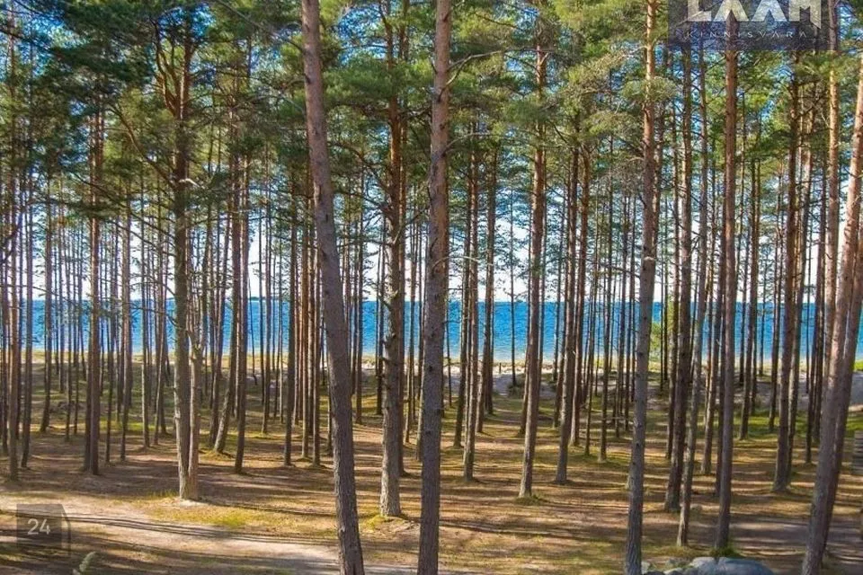 Земля жилой застройки, 3028 m² участок в Kuusalu vald, Salmistu küla - фото 5