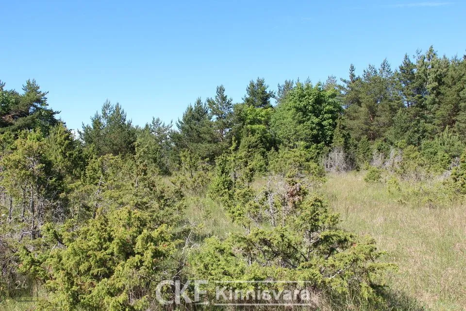 Maatulundusmaa, 15000 m² участок в Saaremaa vald, Tagamõisa küla - фото 3