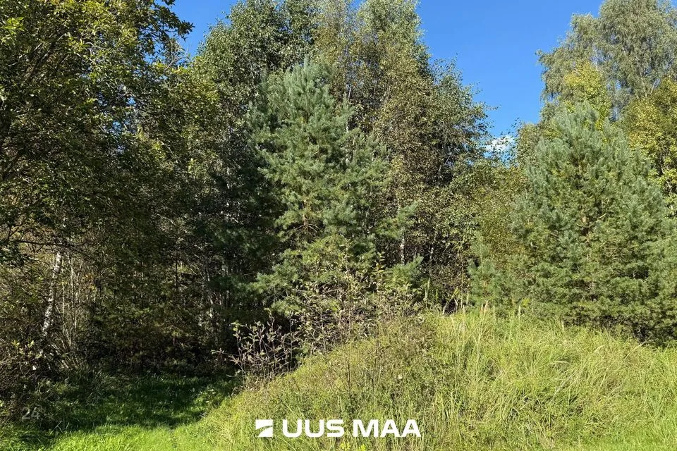 Земля жилой застройки, 1200 m² участок в Anija vald, Aegviidu alev - фото 3