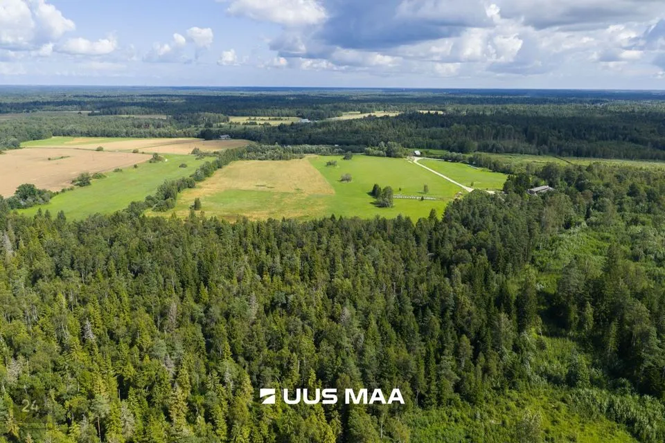 Maatulundusmaa, 165315 m² Maa  -  Saue vald, Pärinurme küla - foto 2