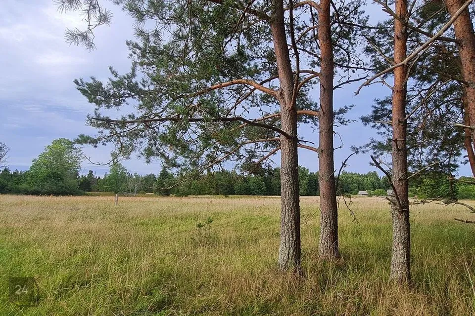 Elamumaa, 21784 m² Maa  -  Hiiumaa vald, Mägipe küla - foto 3