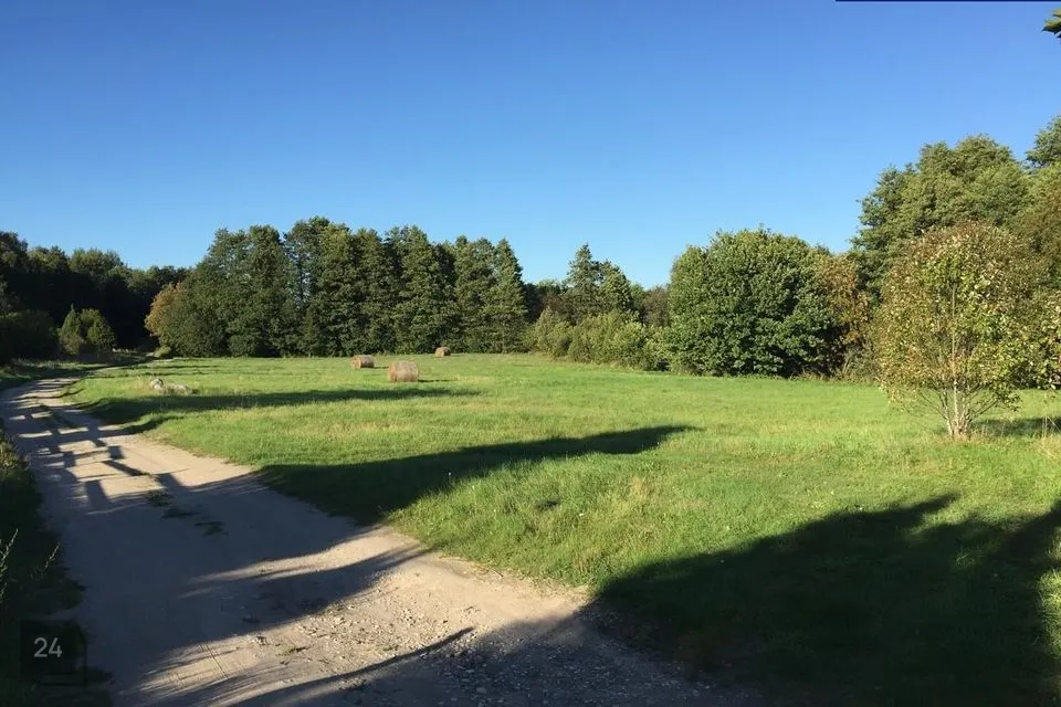 Cultivated land, 4154 m² land in Lääneranna vald, Raespa küla - photo 2