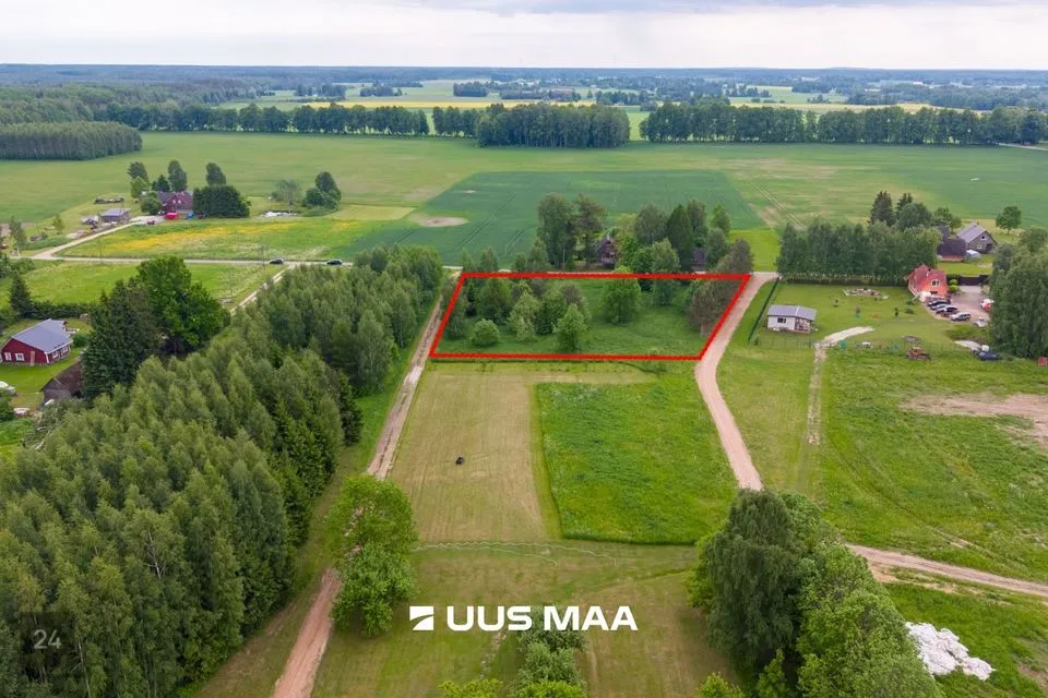 Maatulundusmaa, 4850 m² Maa  -  Peipsiääre vald, Pilpaküla - foto 2