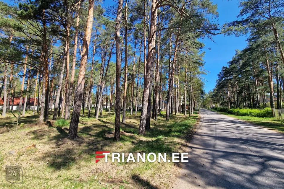 Elamumaa, 1467 m² Maa - Narva-Jõesuu linn, Narva-Jõesuu linn - foto 3