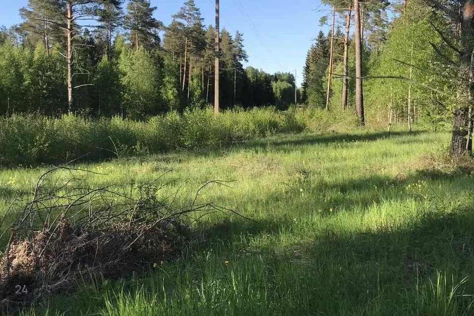Земля жилой застройки, 23358 m² участок в Lääne-Harju vald, Kasepere küla - фото 3