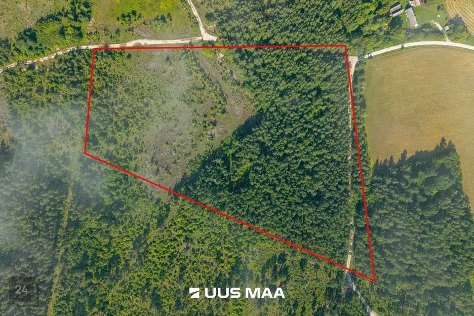 Maatulundusmaa, 52031 m² Maa - Saaremaa vald, Jaani küla - foto 3