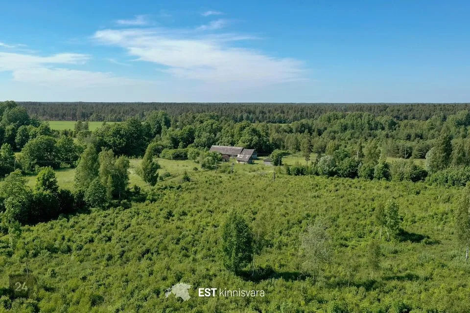 Земля жилой застройки, 7347 m² участок в Saaremaa vald, Haeska küla - фото 5