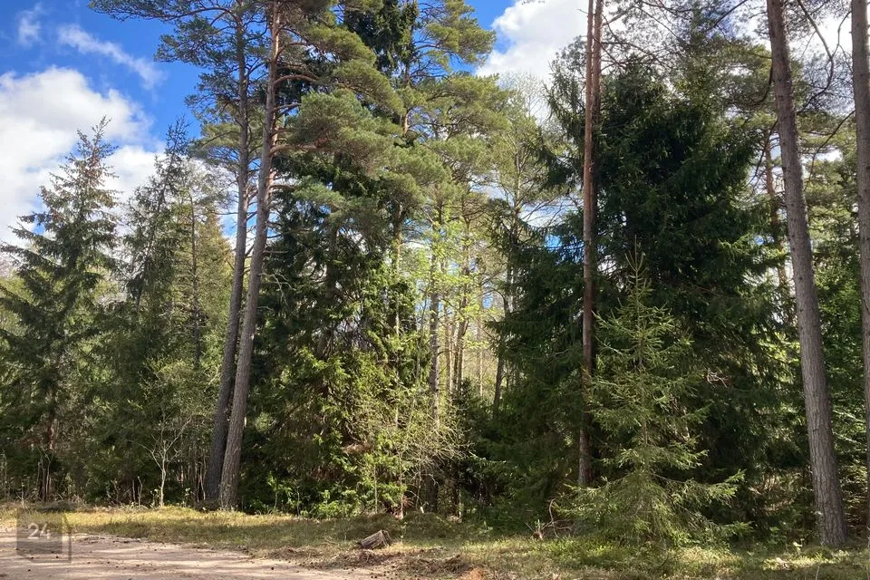 Земля жилой застройки, 14187 m² участок в Saaremaa vald, Järve küla