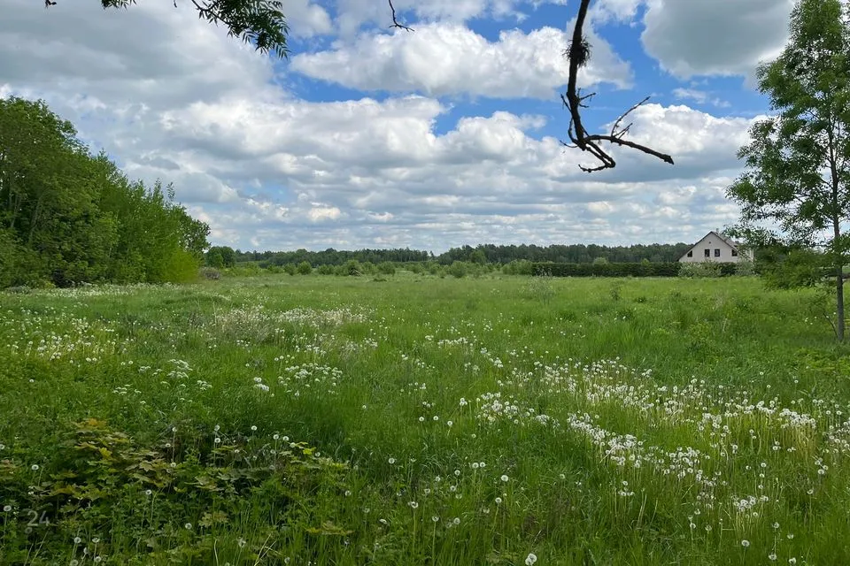 Maatulundusmaa, 16200 m² участок в Rae vald, Kurna küla - фото 4