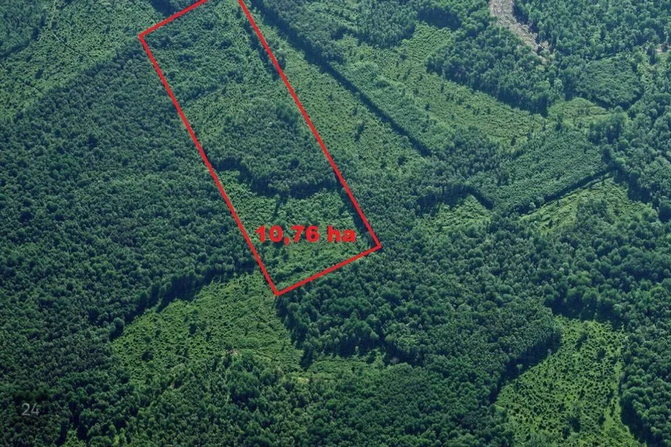 Maatulundusmaa, 107600 m² участок в Lääne-Nigula vald, Paslepa küla / Pasklep - фото 2