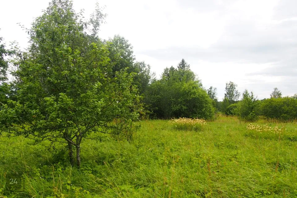 Maatulundusmaa, 30920 m² участок в Pärnu linn, Aruvälja küla - фото 5