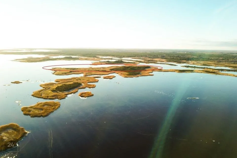 Maatulundusmaa, 98100 m² Maa - Saaremaa vald, Saareküla - foto 2