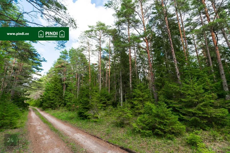 Земля жилой застройки, 10684 m² участок в Lääne-Nigula vald, Elbiku küla / Ölbäck - фото 4