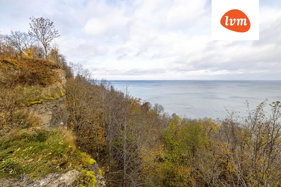 Ärimaa, 7366 m² Maa  -  Jõhvi vald, Ontika küla - foto 3