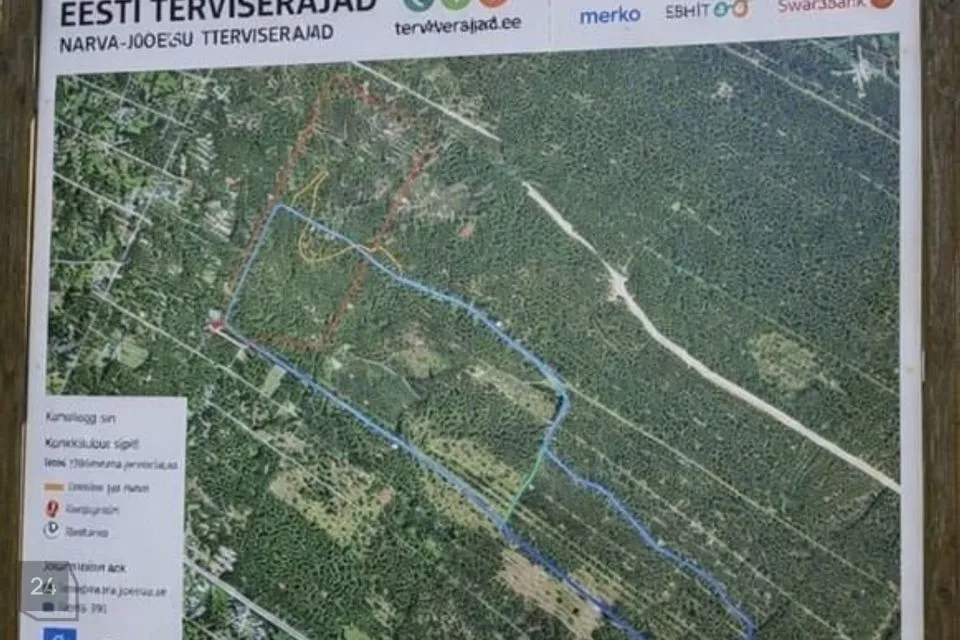 Elamumaa, 2027 m² Maa  -  Narva-Jõesuu linn, Narva-Jõesuu linn - foto 5