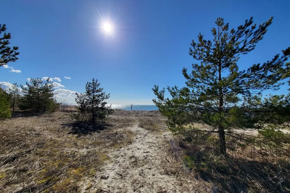 Maatulundusmaa, 33534 m² Maa - Lääne-Nigula vald, Elbiku küla / Ölbäck - foto 4