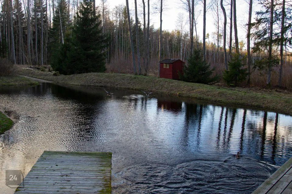 1-комнатная Дача в Lääne-Harju vald, Vintse küla - фото 5