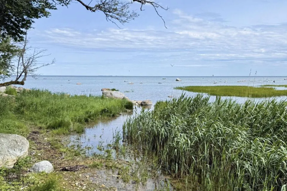 Elamumaa, 49164 m² Maa  -  Jõelähtme vald, Kallavere küla - foto 2