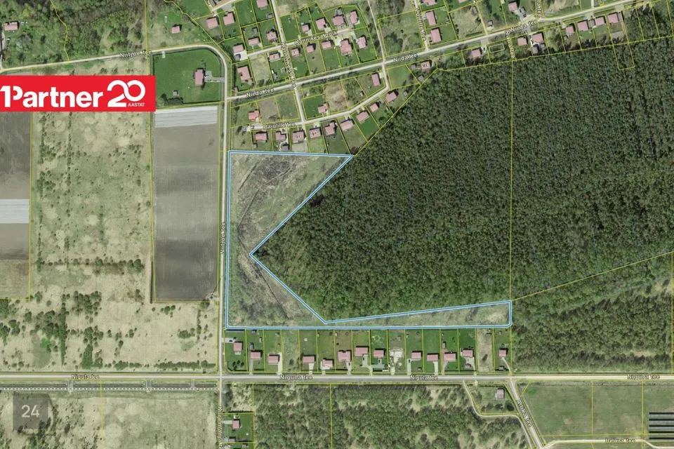 Maatulundusmaa, 38047 m² Maa - Tori vald, Eametsa küla - foto 2