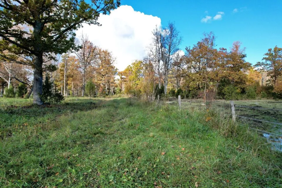 Земля жилой застройки, 33226 m² участок в Muhu vald, Hellamaa küla - фото 2