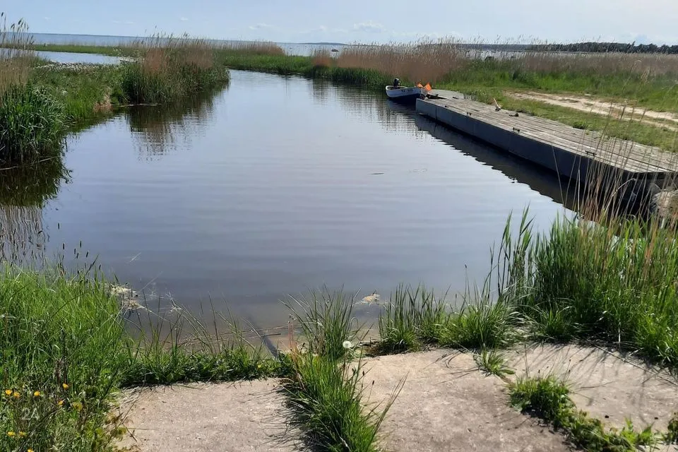 Земля жилой застройки, 5044 m² участок в Hiiumaa vald, Kukka küla - фото 5