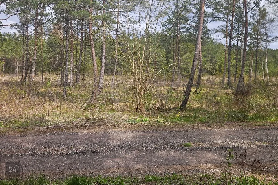 Elamumaa, 8548 m² Maa  -  Saaremaa vald, Muratsi küla - foto 2