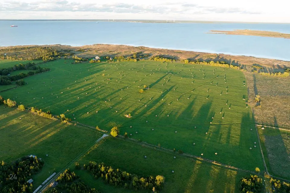 Maatulundusmaa, 20669 m² Maa  -  Muhu vald, Võiküla - foto 4