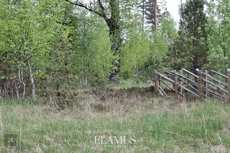 Земля жилой застройки, 4504 m² участок в Lääne-Nigula vald, Paslepa küla / Pasklep - фото 2