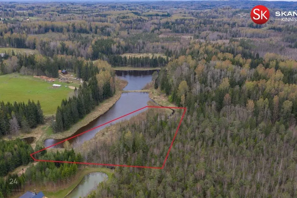 Cultivated land, 10070 m² land in Otepää vald, Nüpli küla - photo 2