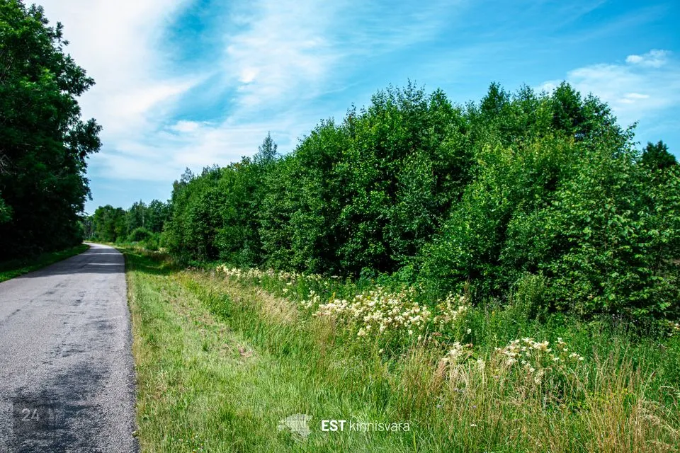 Maatulundusmaa, 10155 m² участок в Lääneranna vald, Rädi küla