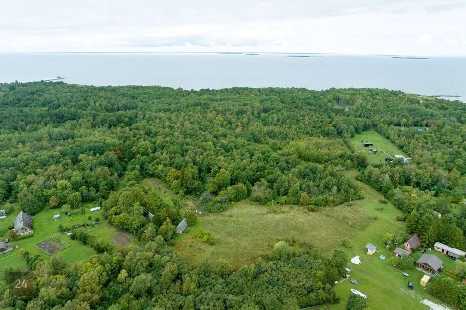 Maatulundusmaa, 20634 m² Maa  -  Muhu vald, Nõmmküla - foto 5