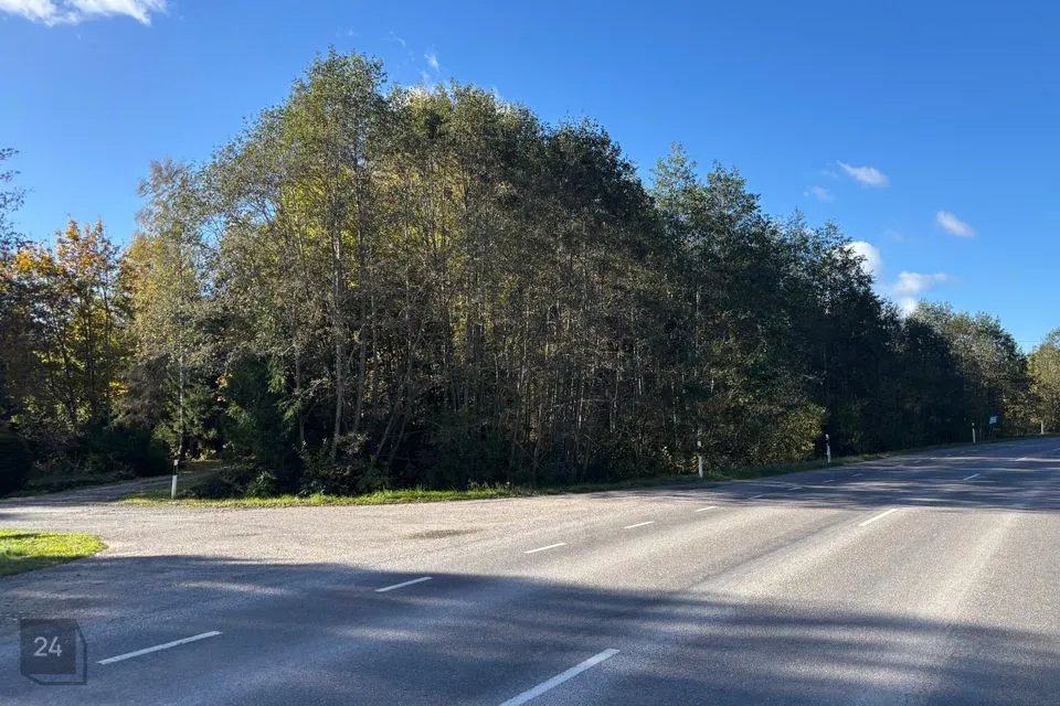 Maatulundusmaa, 82216 m² Maa  -  Rapla vald, Tuti küla - foto 2