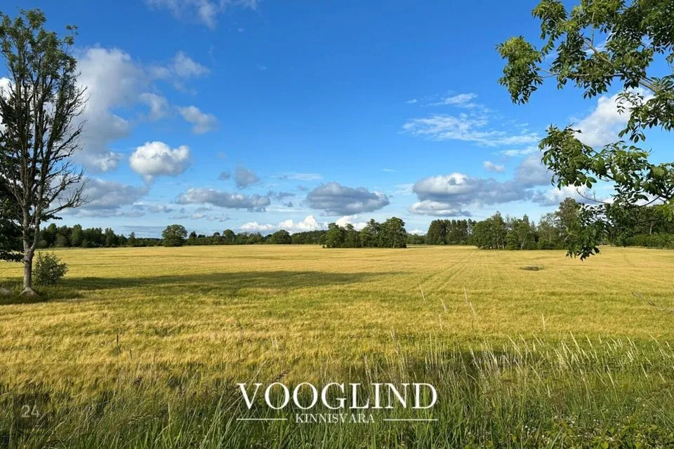 Maatulundusmaa, 22337 m² Maa  -  Hiiumaa vald, Suuremõisa küla - foto 5