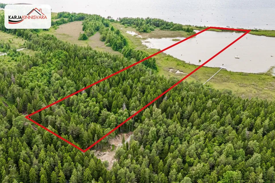 Maatulundusmaa, 26017 m² Maa  -  Lääne-Harju vald, Alliklepa küla - foto 3