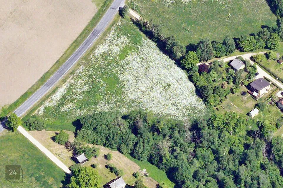 Maatulundusmaa, 8270 m² участок в Viljandi vald, Peetrimõisa küla - фото 3