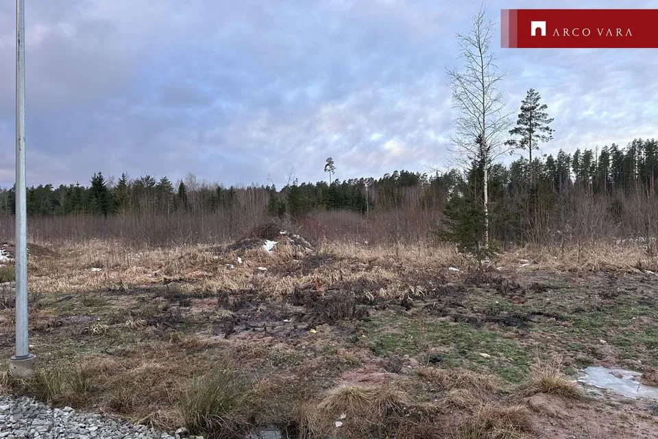 Elamumaa, 1558 m² Maa  -  Kastre vald, Kurepalu küla - foto 3