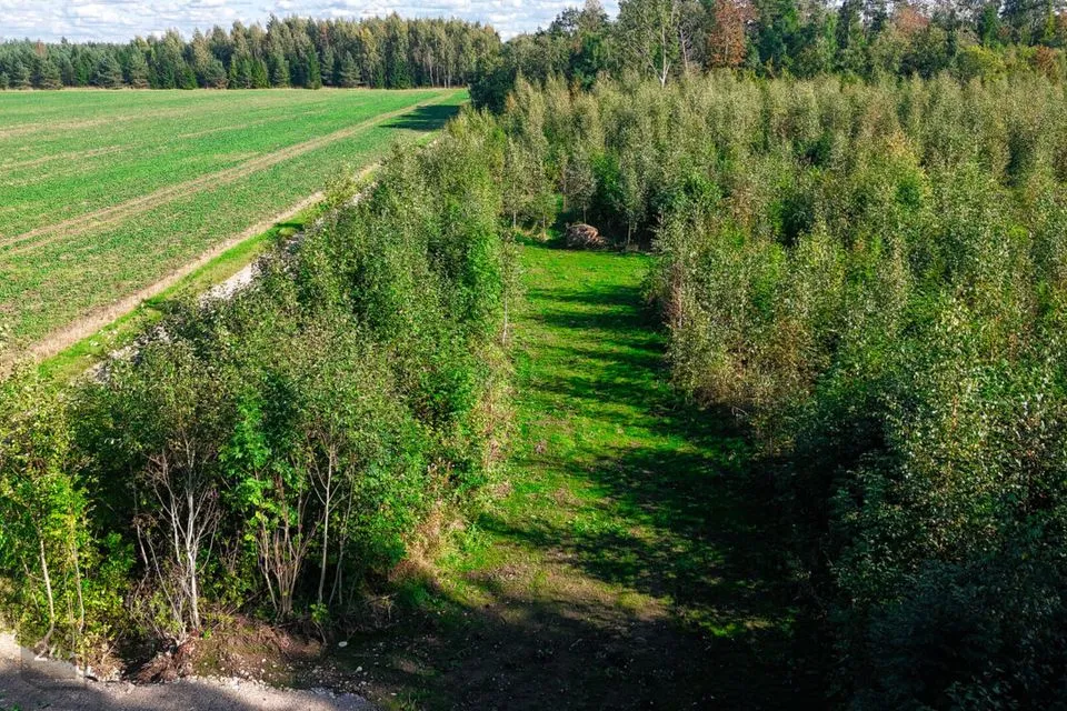 Maatulundusmaa, 19747 m² Maa  -  Märjamaa vald, Risu-Suurküla - foto 4