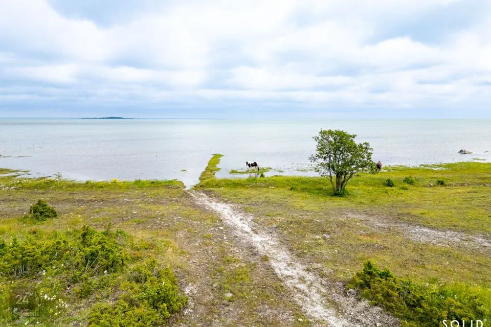 Земля жилой застройки, 51885 m² участок в Hiiumaa vald, Aruküla - фото 5