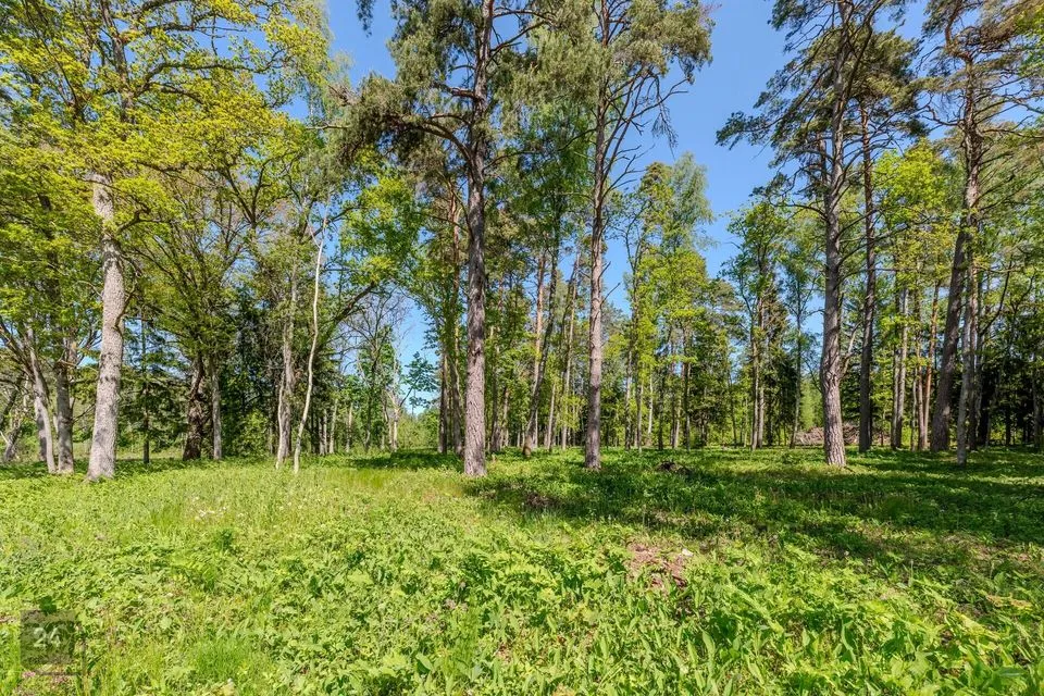 Elamumaa, 8849 m² Maa  -  Haapsalu linn, Kiltsi küla - foto 4