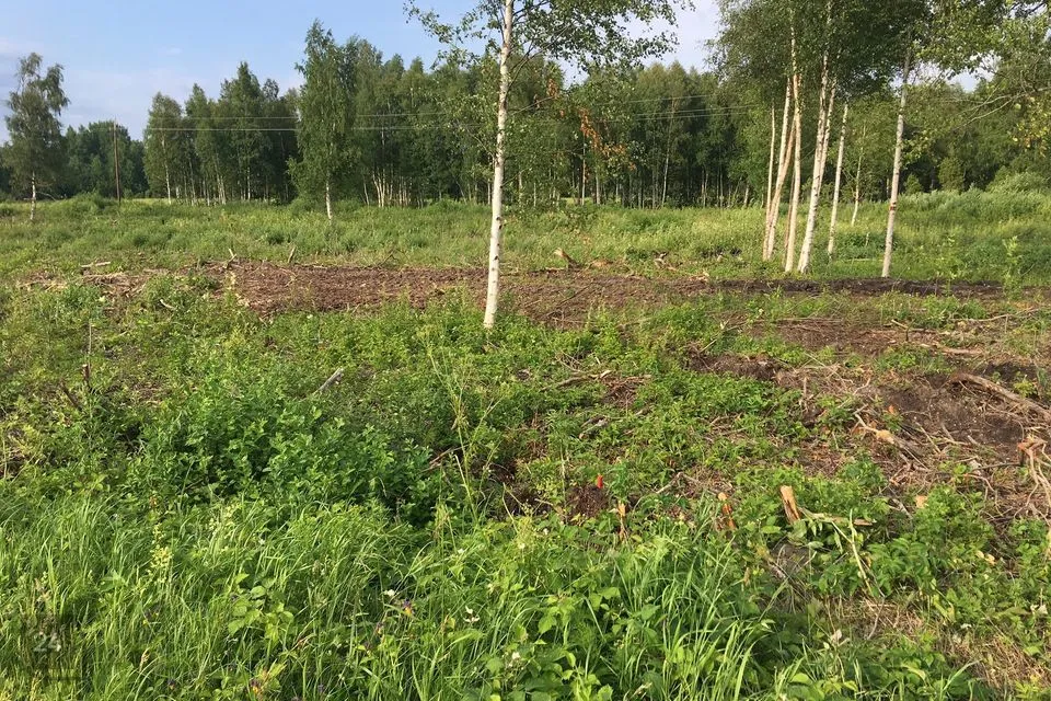 Elamumaa, 17508 m² Maa - Lääne-Nigula vald, Riguldi küla / Rickul - foto 2