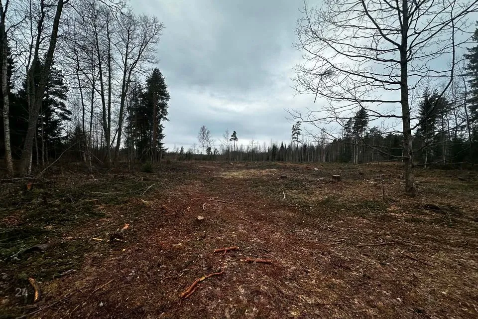 Maatulundusmaa, 39000 m² участок в Alutaguse vald, Kauksi küla