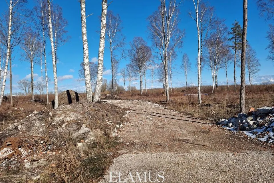 Elamumaa, 9940 m² Maa  -  Lääne-Nigula vald, Österby küla - foto 3