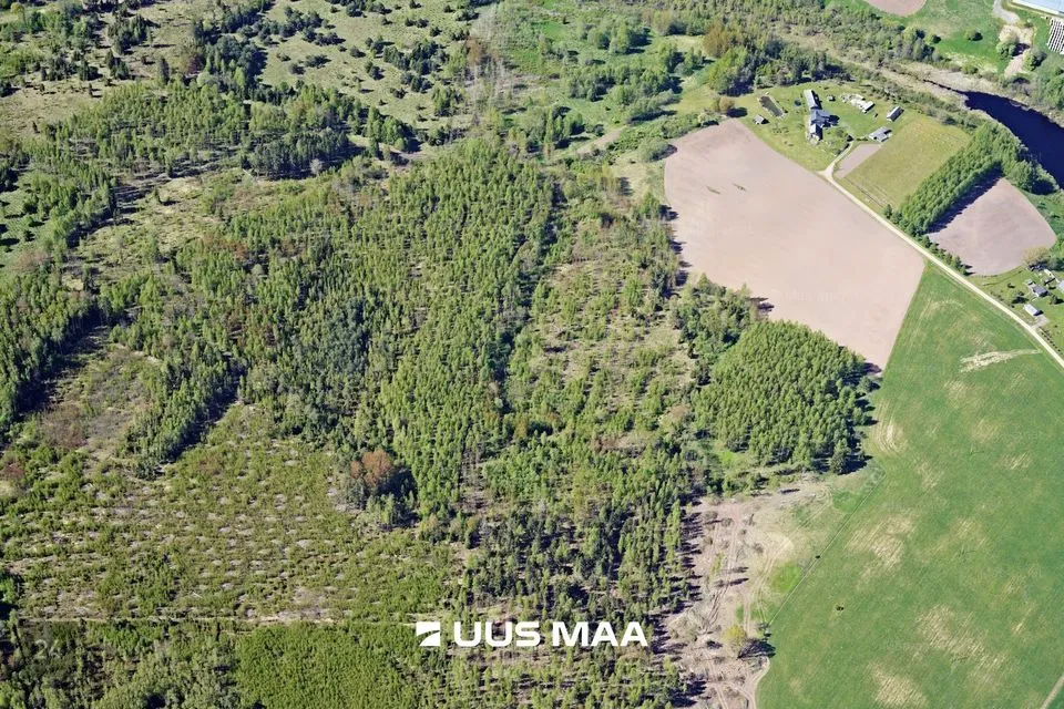 Maatulundusmaa, 48744 m² Maa - Kastre vald, Kitseküla - foto 2
