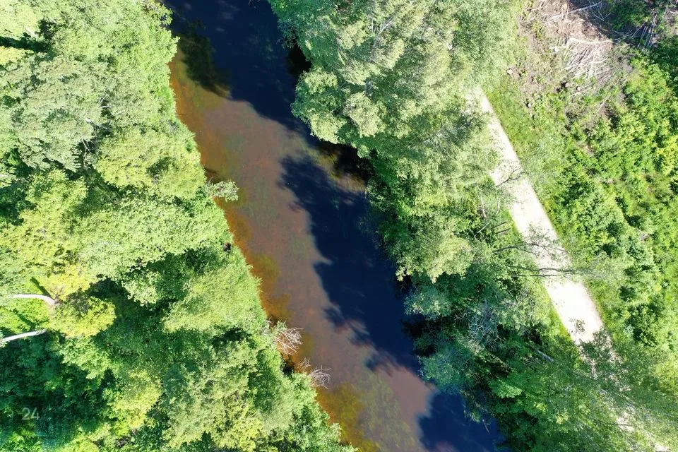 Maatulundusmaa, 38074 m² Maa  -  Järva vald, Jõeküla - foto 5