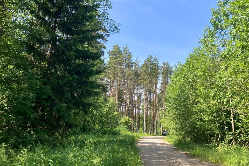 Земля жилой застройки, 11261 m² участок в Saaremaa vald, Järve küla - фото 4