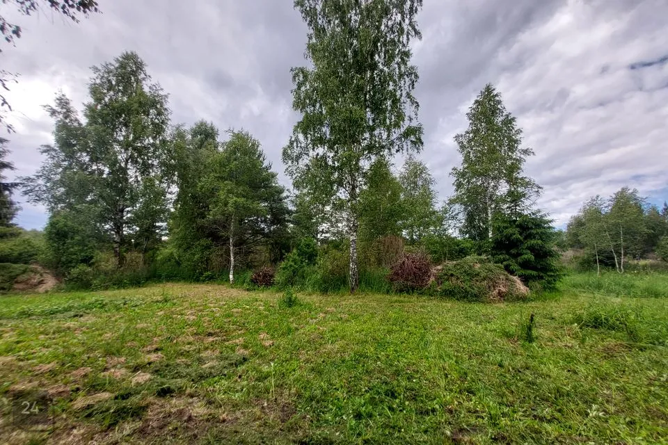 Земля жилой застройки, 11135 m² участок в Lääne-Harju vald, Lemmaru küla - фото 4